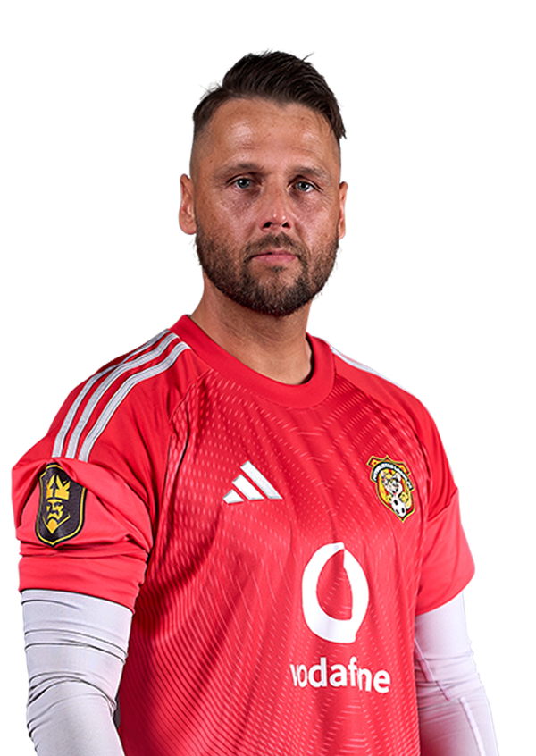 Daniel Dreesen