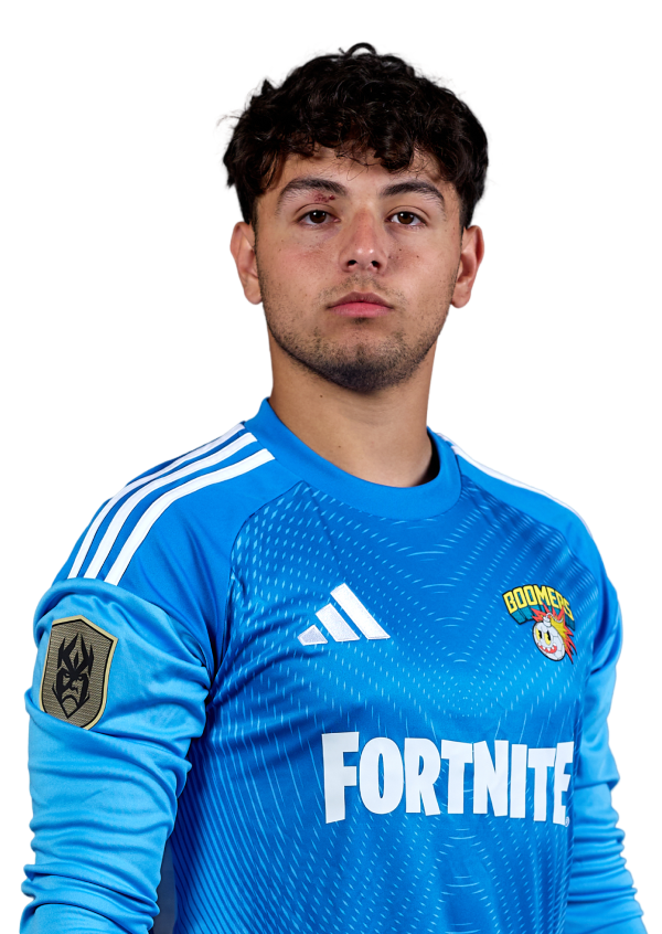 Mirko Dario