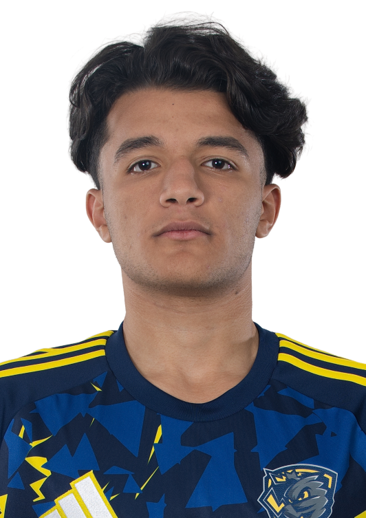 Amr Abdelrahman