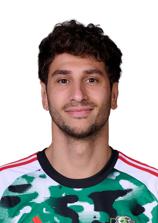 Domenico Rossi