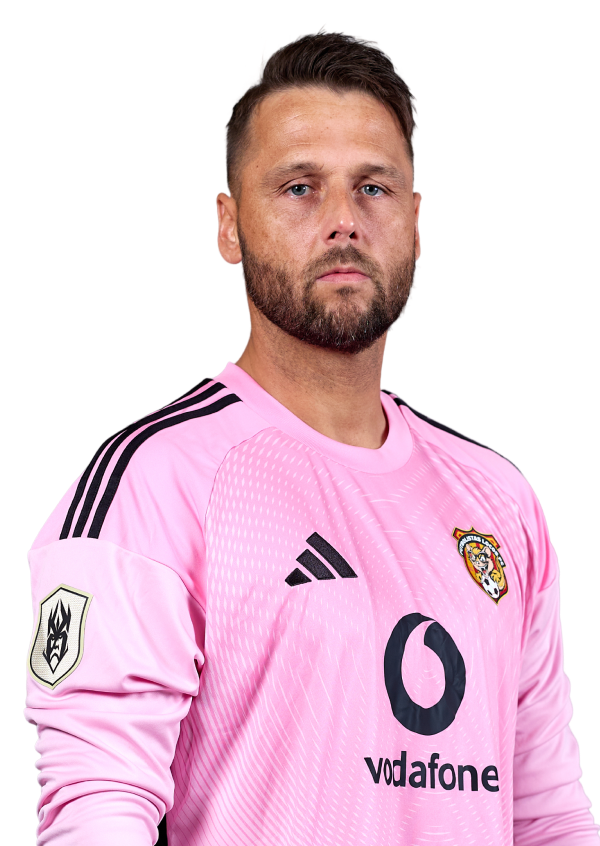 Daniel Dreesen