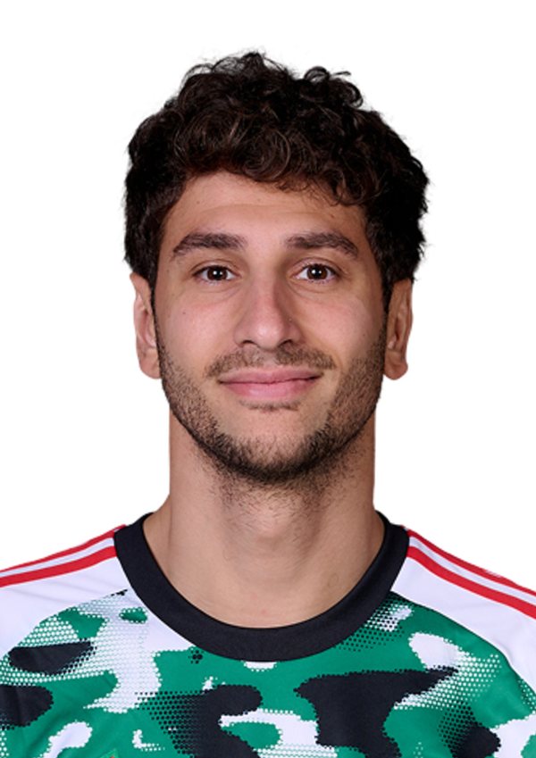 Domenico Rossi