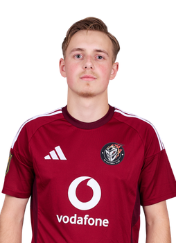 Tarik Hadziavdic