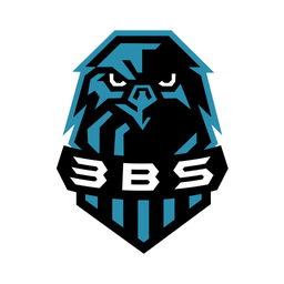 3BS