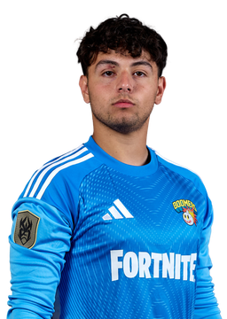 Mirko Dario