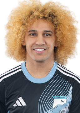 Ali Alnamer