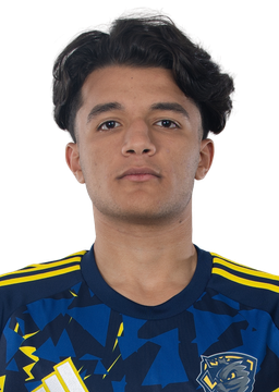 Amr Abdelrahman
