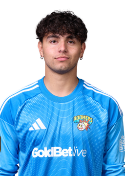 Mirko Dario