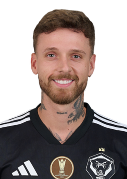 João Pelegrini