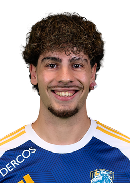 Dennis Stojkovic