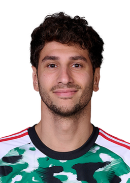 Domenico Rossi