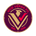 Vice Versa FC