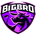 BIGBRO