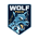 Wolf Pack FC