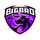 BIGBRO