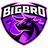 BIGBRO