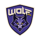 Wolf Pack FC