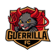 Guerrilla FC