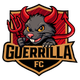Guerrilla FC
