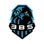 3BS